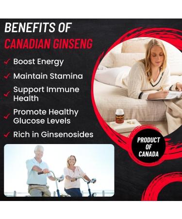Canadian Vita Ginseng Supplement Capsules - Pure Ginseng Root Powder - Energy/Immunity/Focus/Stress Relief - 500 mg/Capsule - Buy Online on GoSupps.com