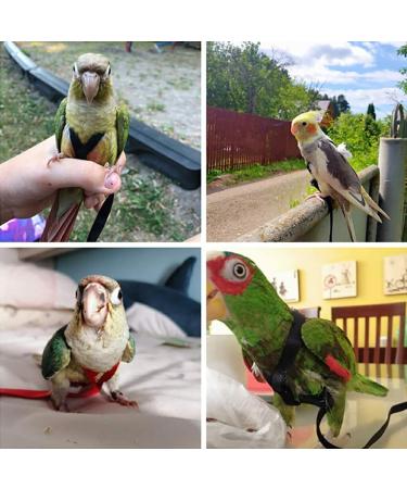 Vreplrse Adjustable Bird Flight Dishes & Easy-to-Wear Parrot Leash - Perfect Gift for Parrot Owners | International Shipping - Buy Online on GoSupps.com