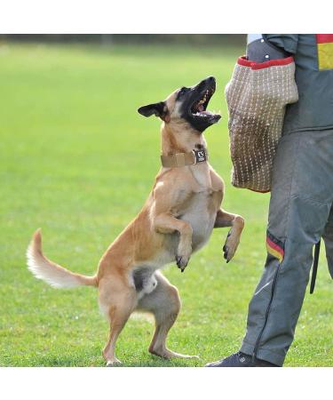 Buy Tspro Tactical Dog Collar - Military Quality 3.8cm Wide Adjustable L (52-60cm) Durable Khaki with Robust Metal Buckle - Buy Online on GoSupps.com