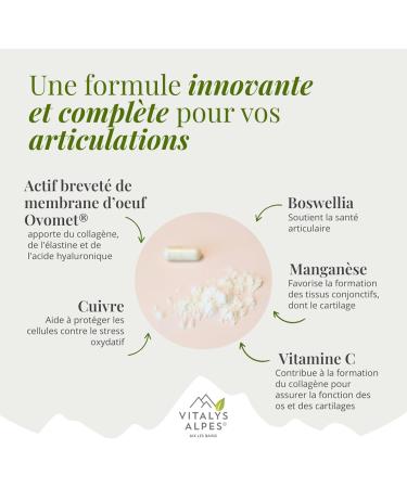 Artinovo - Confort et mobilit Ost o-Articulaire - 40 g lules - Cure de 20 jours - Vitalys Alpes - Fabriqu en France (3) - Buy Online on GoSupps.com