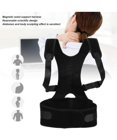 Posture Corrector - Neoprene Adult Magnetic Back Shoulder Belt for Kyphosis & Lumbar Support | Strength Training Aid - Buy Online on GoSupps.com