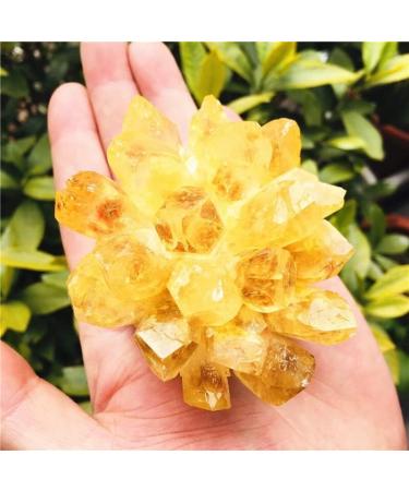 Natural Crystal Rough Natural Crystal 200-300g Natural Yellow Quartz Cluster for Home and Office Decoration Crystal Stone - Buy Online on GoSupps.com