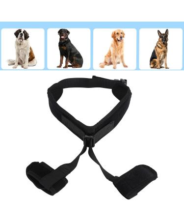Dog Knee Brace Adjustable Dog Hind Legs Brace Protector Cruciate Ligament Care Knee Brace for Elderly Disabled Dogs Relieve Joint Pain Muscle Sore (S) - Buy Online on GoSupps.com