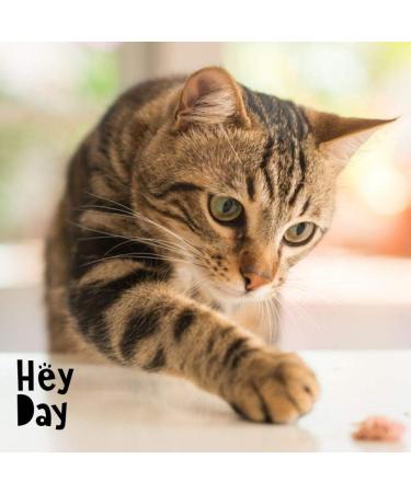 Hey Day Pets Cat Care Support Bundle -Â Cat Care Supplements - With Omega 3 6 9 + Probiotics - Active Culture Complex for Healthy Digestion Skin & Coat - Essential for Cat Health (300 Tablets) - Buy Online on GoSupps.com