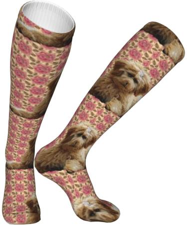 Goldendoodle & Roses Compression Socks for Men & Women | 15-20 mmHg Support for Running & Cycling - Buy Online on GoSupps.com