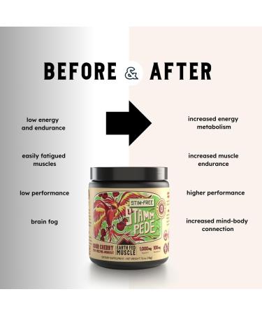 Earth Fed Muscle Stammpede Sour Cherry Pre Workout Powder for Men & Women Pre Workout No Caffeine Vegan & Gluten Free Boosts Focus & Endurance Lion s Mane Taurine Peak O2 30 Servings - Buy Online on GoSupps.com