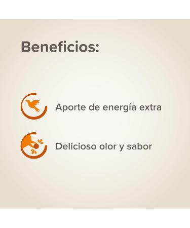 BEAPHAR Singing mix fortifying paste for canary and bird granivorous Complementary food Contains vitamins and minerals - Buy Online on GoSupps.com