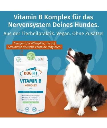 Dog Fit by Prethis - Vegan B Vitamin Complex for Dogs | Nerve Strengthening Incontinence & Nervousness Support | Large Animals (25kg+) - Buy Online on GoSupps.com