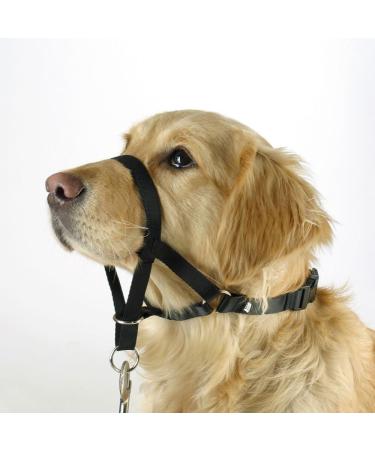 Kerbl Maxi Coach Harness Size 2 Black - Buy Online on GoSupps.com