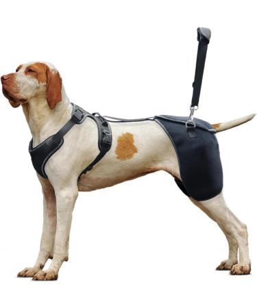Dog Knee Brace for Torn Hind Leg or Back Leg Adjustable Pet Dog Rear Leg Bracer Support for Joint Pain Muscle Sore Knee Cap Dislocation Black for Injury Arthritis ACL Pain Relief(Large)