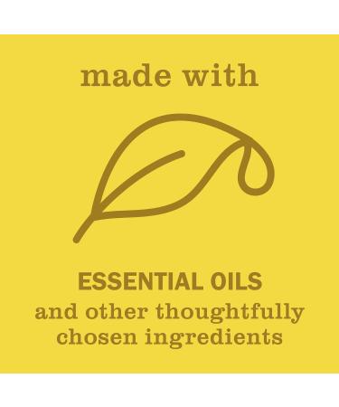 MRS. MEYER'S CLEAN DAY Liquid Hand Soap, Daisy Scent, 12.5 Ounce Bottle (Pack of 3) 12.5 Fl Oz (Pack of 3) - Buy Online on GoSupps.com