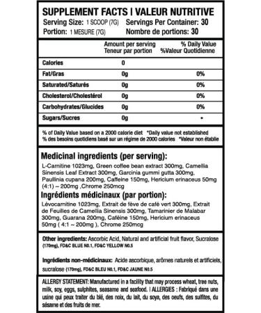 DIOA Fitness - Magic Powder 30 servings - Energy formula and fat burners powder thermogenic formula with nootropics helps with energy helps burn fat (Green Apple) - Buy Online on GoSupps.com