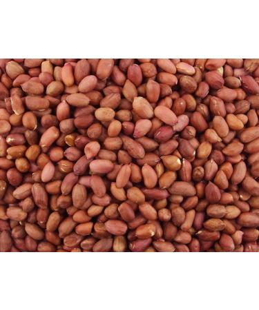 Gorilla Food Co. Redskin Peanuts Whole - 5kg (Bulk Pack)