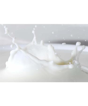 Lakeland Dairies Long Life Milk Pots - Semi-Skimmed Milk 120 Portions - Buy Online on GoSupps.com