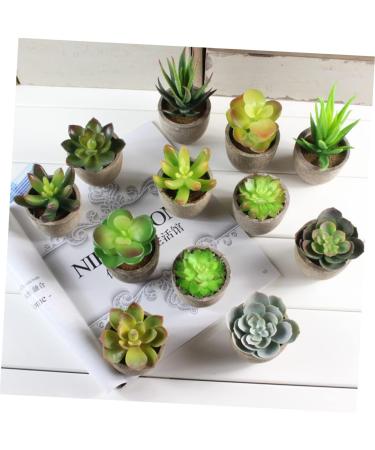 MAGICLULU 2pcs Faux Plant Simulation Plant Small Succulent Plants Home D cor Succulent Simulation Succulents Arrangements Suculentas Artificial Plants Decorative Plants Mini Cactus - Buy Online on GoSupps.com