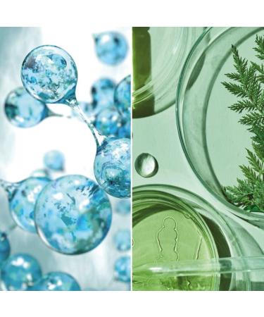 SENSO NATURALE Solid Body Oil ACTIVE OXYGEN - Toning Cream Scented Firming - Draining Smoothing and Elasticating Anti-Cellulite Skin - Vitamin E - Vegan - Equivalent to 500ml Liquid - Buy Online on GoSupps.com