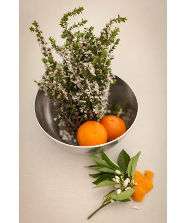 Bondi Wash - Mist Spray - Lemon Tea Tree & Mandarin - Buy Online on GoSupps.com