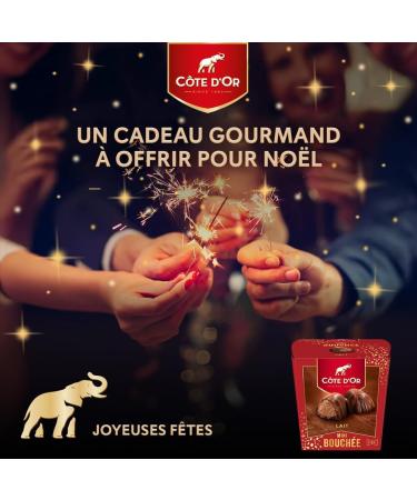 C TE D'OR - Mini Bouch e Lait - Milk Chocolate Filled with Hazelnuts and Almonds - Christmas Chocolates - Box to Share or Give - Box of Approximately 21 Mini Bouch es - 1 Box of 197 g - Buy Online on GoSupps.com
