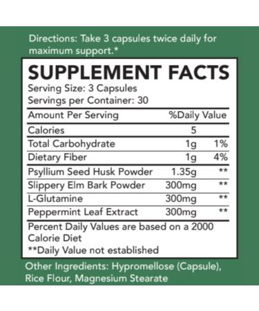 ByeBS Digestive Support Supplement Psyllium Husk Slippery Elm Peppermint Extract & L-Glutamine Gut Health Bloating & Constipation Support Intestinal Lining & Bowel Function - Buy Online on GoSupps.com