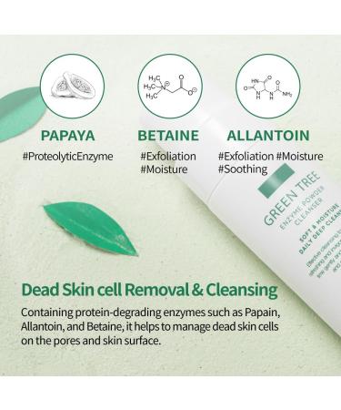 Green Tree Enzyme Powder Cleanser | Gentle Exfoliating Face Wash with Hyaluronic Acid for Dry Skin | Super-Hydrating Makeup Remover - Buy Online on GoSupps.com