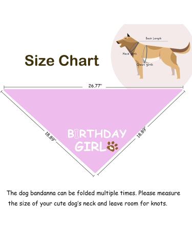 Dog Birthday Bandana for Large Pet - Pink Birthday Girl Design - 1 Pack - Buy Online on GoSupps.com