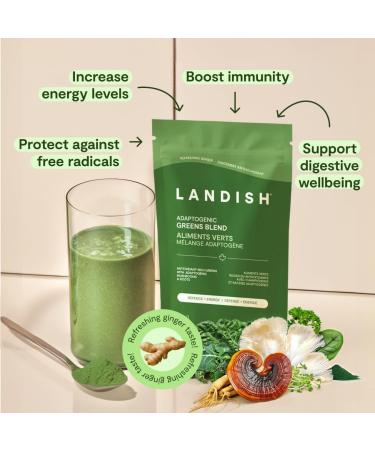 Landish Adaptogenic Greens Powder - Canadian-Grown Organic Greens Spirulina Functional Roots & Mushrooms - Energy Digestion & Immunity - Vegan Gluten & Caffeine-Free - Made in Canada - 180 g - Buy Online on GoSupps.com