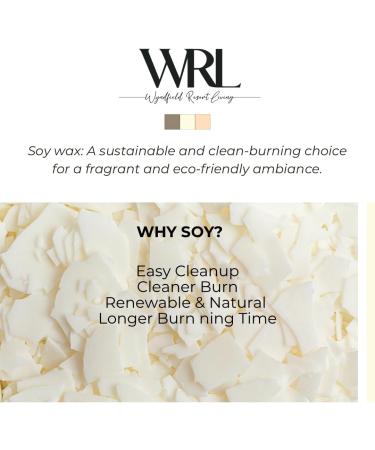 Cashmere Scented Candles - Organic Soy Wax 45+ Hour Burn Luxurious Citrus Essential Oils Gift Boxed - Perfect Home D cor - Buy Online on GoSupps.com