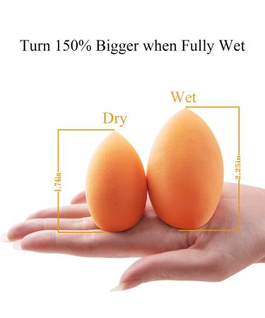 BAIMEI Makeup Sponges & Kabuki Brush Set - Latex-Free Dual Use Beauty Blender for Flawless Powder & Liquid Foundation Application - Buy Online on GoSupps.com