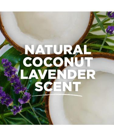 Tom's of Maine Coconut Lavender Deodorant | Plastic-Free & Aluminum-Free | 2 oz | Natural Strength | Packaging May Vary - Buy Online on GoSupps.com