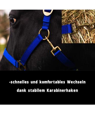 Premium Royal Blue Halter for Warmblood & Thoroughbred Horses Adjustable Safe & Tear-Resistant Perfect for Stable & Pasture Use - Buy Online on GoSupps.com