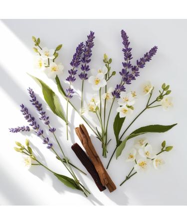 DIVAIN-568 - Inspired by Mon Grlaiinss - Perfume Impression for Woman - Oriental Fragrance - Buy Online on GoSupps.com