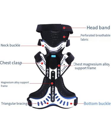 Neck Spine Orthosis Orthosis Cervical Thoracic Halo Brace Posture Corrector Adjustable Lumbar Spine Orthosis Head and Neck Orthosis - Buy Online on GoSupps.com