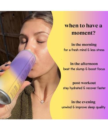 Moment Adaptogen Drink - Blueberry Ginger | Shark Tank | Non-Carbonated | 0 Sugar Caffeine Alcohol | 12-Pack | Calm & Clarity - Buy Online on GoSupps.com