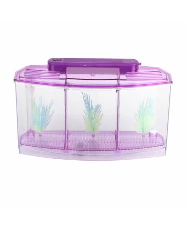 Aquarium Fish Tank Transparent Aquarium Fish Tank LED Acrylic Three Divisions Breeding Isolation Box for Small Fishes Mini Breeding Fish Tank (Purple)