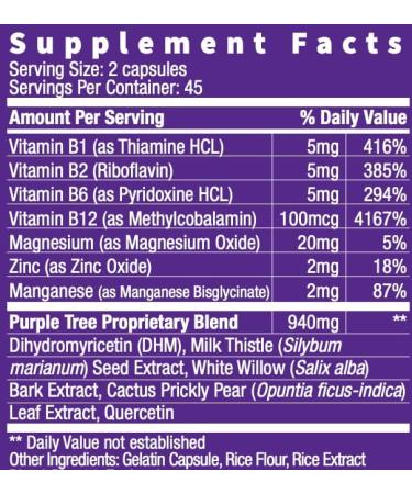 Purple Tree Celebration Recovery Pills - DHM, Milk Thistle, Electrolytes, Vitamin B - 90 Pills for Better Mornings, Happy Liver & Rapid Hydration - Buy Online on GoSupps.com