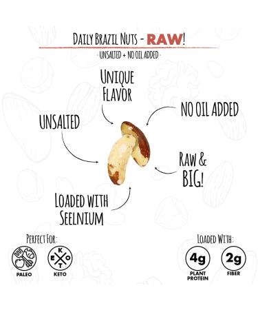 Roastery Coast Daily Nuts Whole Raw Brazil Nuts - Nut Snacks Multi Pack | Unsalted, Non-GMO, Certified Gluten Free | Selenium | Kosher Certified - Buy Online on GoSupps.com