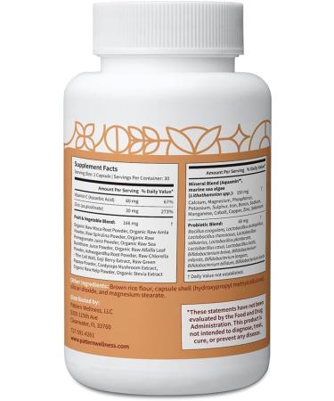 Pattern Wellness Zinc Complex Supports Immune, Skin & Digestive Health High Absorption Zinc with Vitamin C, Probiotics & Natural Blends 30 Vegan Capsules 30 Count (Pack of 1) - Buy Online on GoSupps.com