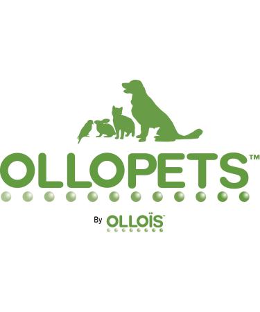 Buy OLLOPETS Organic Homeopathic Remedy for Pet Nausea - 1 Fl Ounce | International Shipping Available - Buy Online on GoSupps.com
