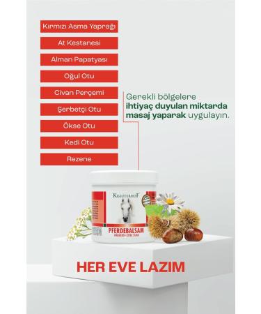 Betz Horse Balm Warming Extra Strong - Kr uterhof | 250ml for Optimal Joint Relief | International Shipping Available - Buy Online on GoSupps.com