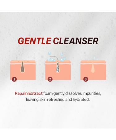 KOY Flow Essence Foam Cleanser 5.07 fl oz | Gentle Daily Cleanser with Botanical Extracts & Moisturizing Ingredients | Refreshing & Smooth Skin - Buy Online on GoSupps.com