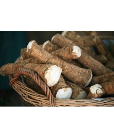 Horseradish Root, Sauget, 6 ounces (Sold by Weight). Great for Planting, Seasoning or Sauces. A taste delight.