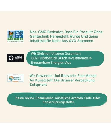 Handpicked Gluten-Free Green Tea Bags (100 Count) | Pure No Glue No Bleach | Hot & Cold Brew Kombucha Tea - Buy Online on GoSupps.com