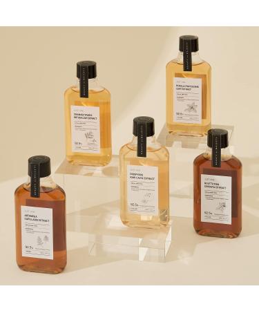 Buy BOM Just One Herbal Extract 150ml - Organic Vegan Alcohol-Free Facial Toner for Face & Scalp | Natural Perilla Frutescens Ingredients - International Shipping Available - Buy Online on GoSupps.com