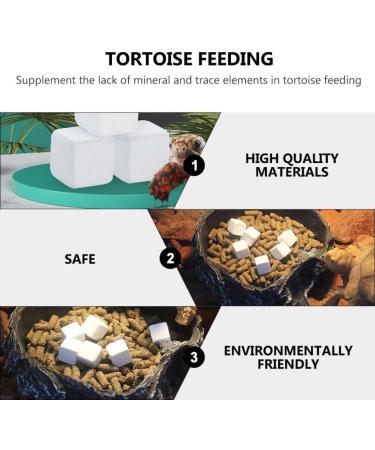 FRCOLOR 24 Pcs Turtle Teeth Supplements for Shrimp Mineral Bead Turtle Tank Mineral Calcium Care - Buy Online on GoSupps.com