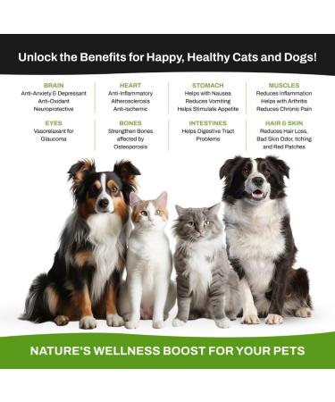 Natural Calm 7000 Formula - Certified Organic Omega 3 6 9 Hemp Oil CO2 Extract - Hip & Joint Supplement for Arthritis Pain Relief Anxiety & Stress Relief | Omega 3 Supplements for Dogs & Cats | 30ML 1 - Buy Online on GoSupps.com