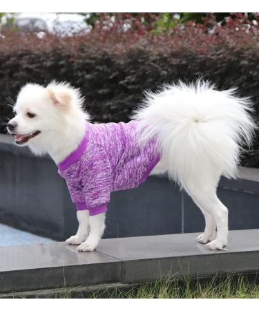 Shop Hualisiji Small Dog Sweater - Warm & Soft Knitting for Chihuahua - Elastic & Easy to Wear 2PCs (Pink & Purple) - Buy Online on GoSupps.com