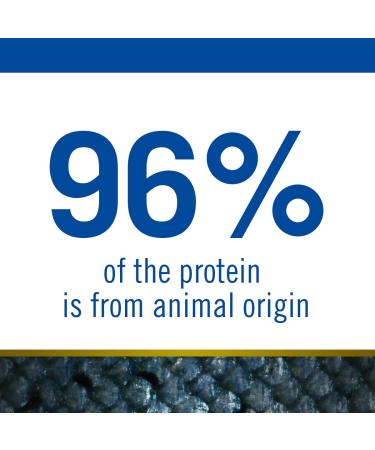 N&D Ocean Dog Codfish Pumpkin and Orange Adult Mini 800G - Buy Online on GoSupps.com