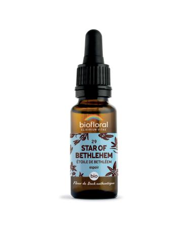 BIOFLORAL - 29 Star of Bethlehem toile de Bethl em BIO DEMETER - Espoir - Fleur de Bach Authentique - Compte-gouttes 20 ML