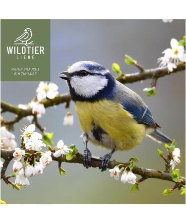 Premium 2.5L Wildlife Deer Hinge Insect Mix | Dried Mealworms Insect Larvae & Gamarus for Wild & Garden Birds - High-Quality Bird Feed - Buy Online on GoSupps.com