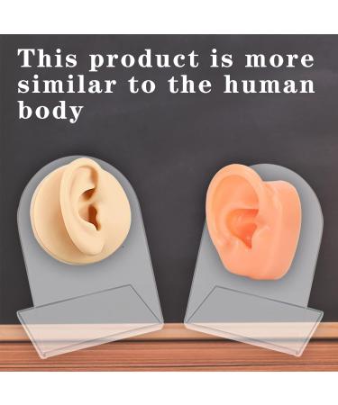 2Pcs Soft Silicone Ear Model with Acrylic Stand - Flexible Reusable Fake Ear for Piercing Practice and Jewelry Display (Skin Color) - Buy Online on GoSupps.com